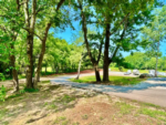 Tree lined road at Hidden Creek - thumbnail